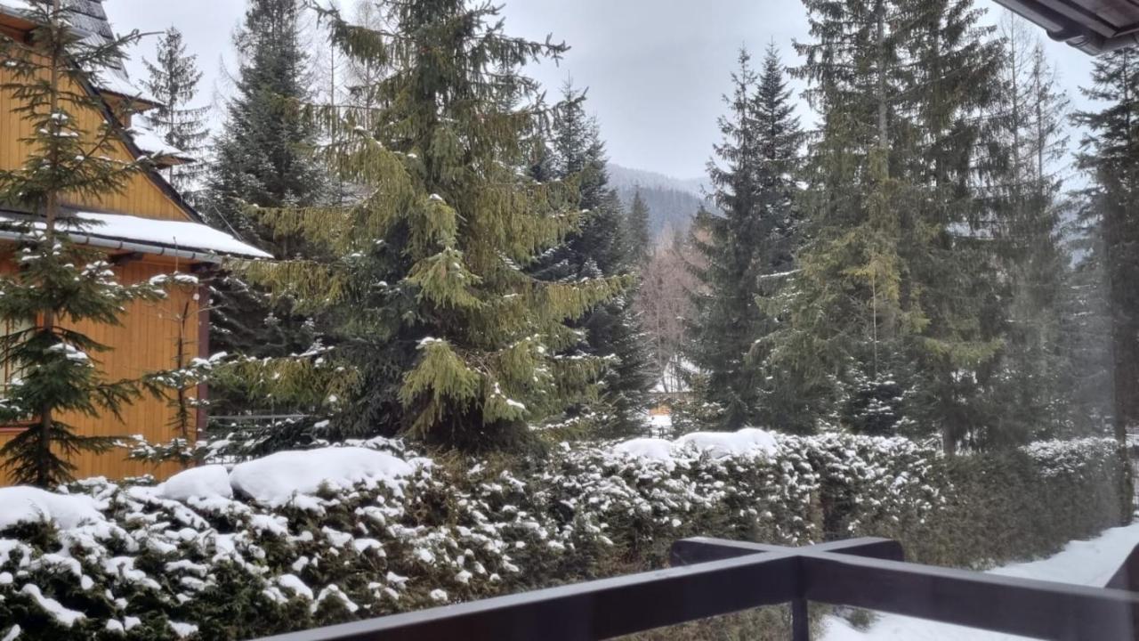 Apart4You Apartamenty Bulwary25 Zakopane Bagian luar foto