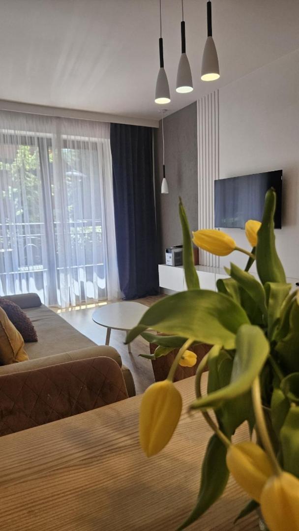Apart4You Apartamenty Bulwary25 Zakopane Ruang foto